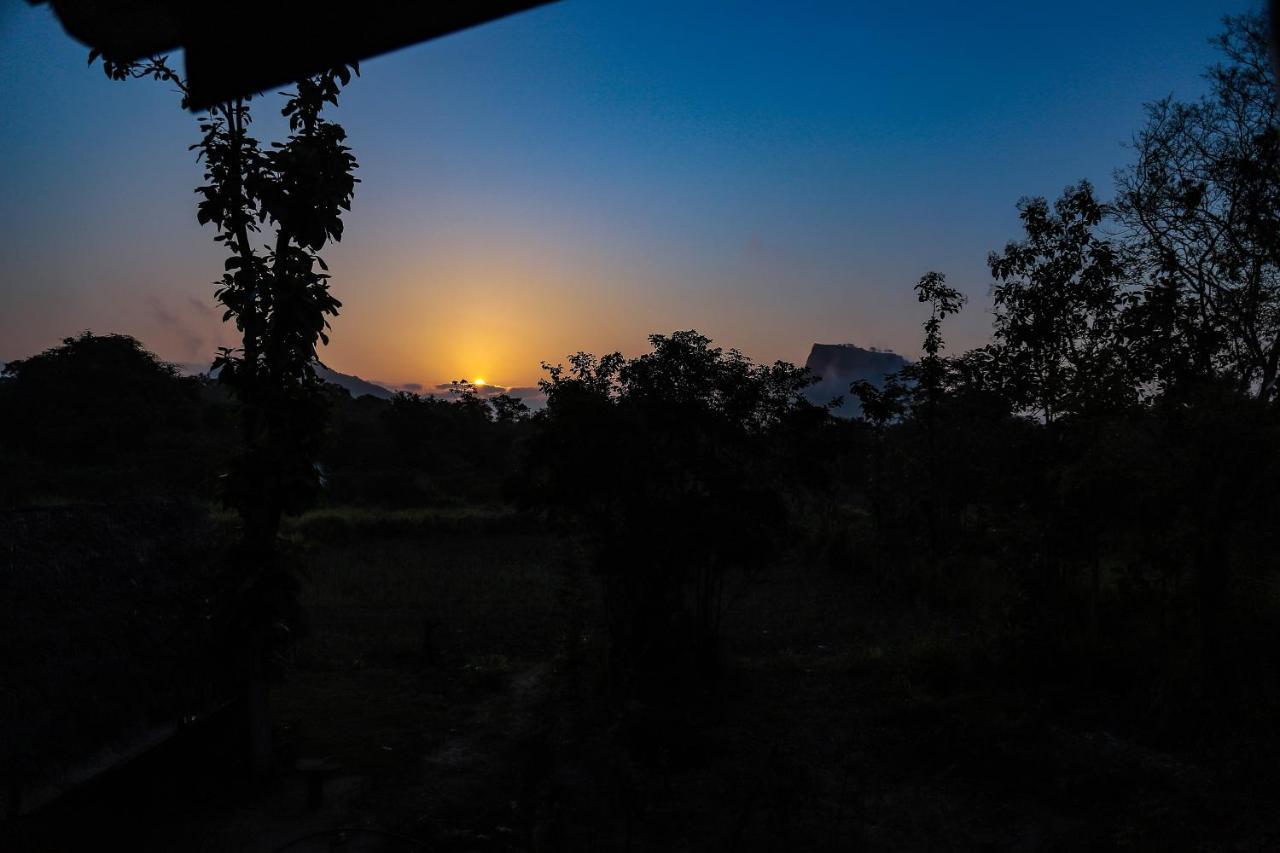 Sigiriya Nature View Home Stay Exteriér fotografie