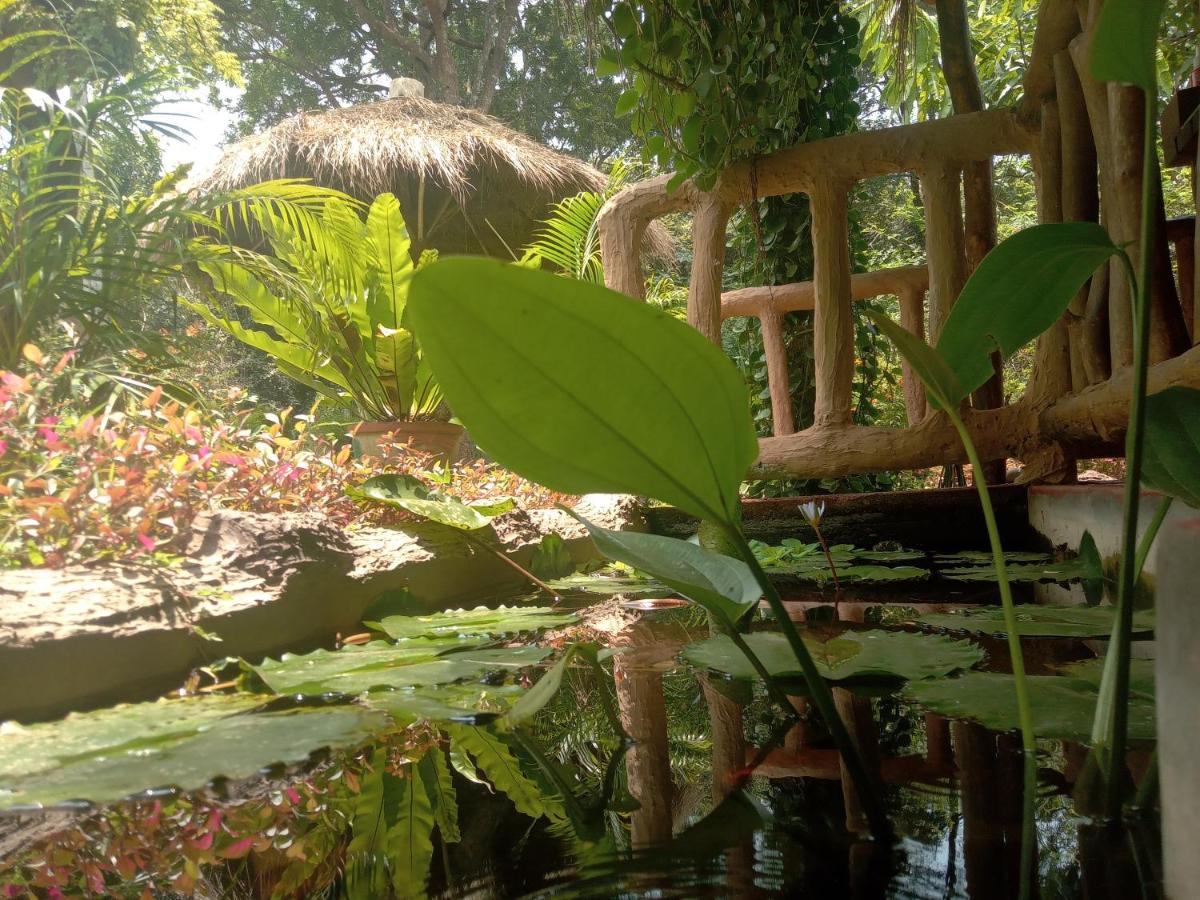 Sigiriya Nature View Home Stay Exteriér fotografie