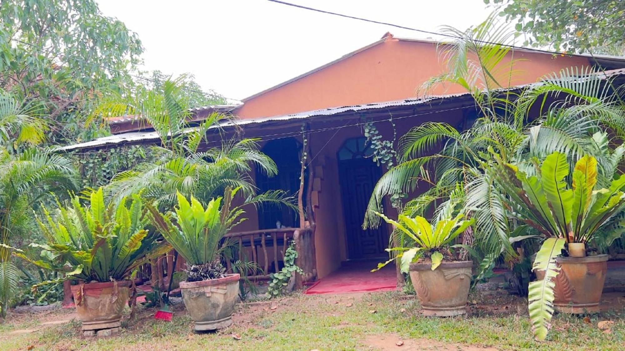 Sigiriya Nature View Home Stay Exteriér fotografie